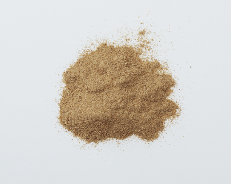 Cricket Flour