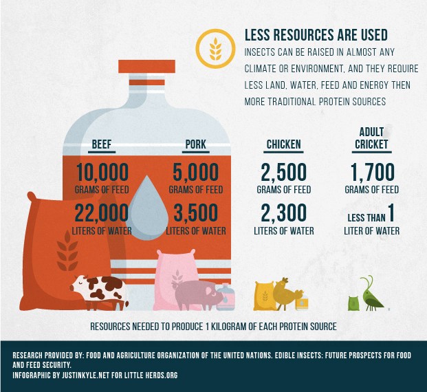 LH Feed&H2O Infographic